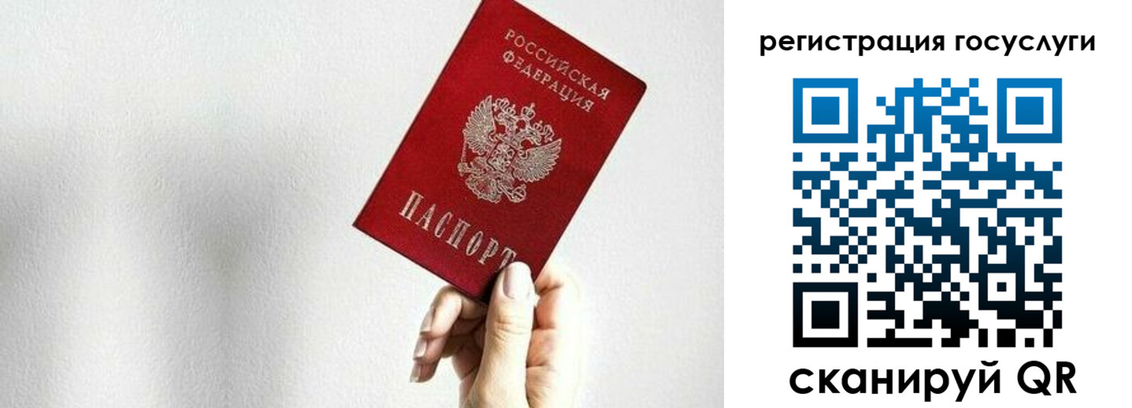 прописка гарантия в Гуково